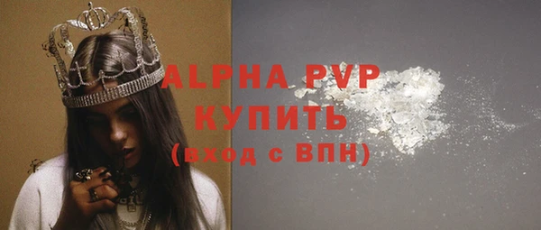 сатива Пересвет