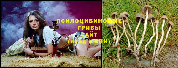 мяу мяу мука Пестово