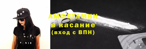 сатива Пересвет