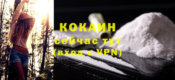 сатива Пересвет