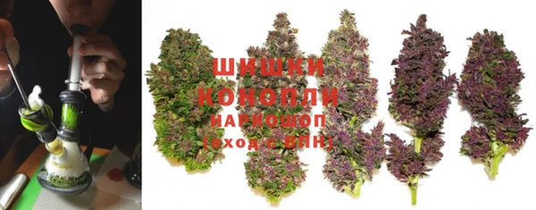 мяу мяу мука Пестово