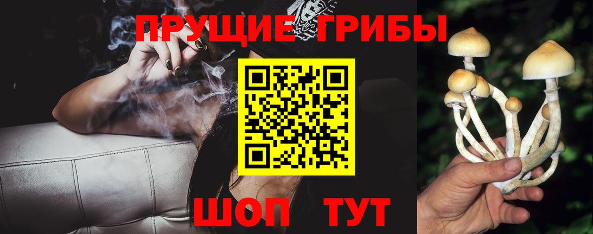 Галлюциногенные грибы Psilocybine cubensis  Вход с VPN  Усолье-Сибирское 